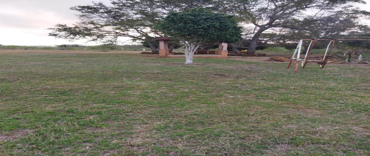 Foto de terreno habitacional en venta en  , barra del tordo, aldama, tamaulipas, 25167904 No. 05