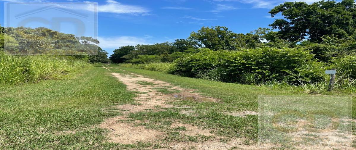 Foto de terreno habitacional en venta en  , barra del tordo, aldama, tamaulipas, 0 No. 04