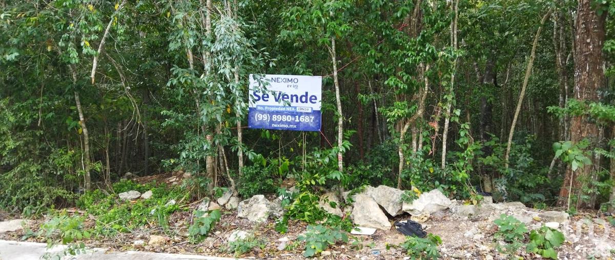 Foto de terreno habitacional en venta en barracuda 107, los arrecifes, solidaridad, quintana roo, 28721884 No. 05