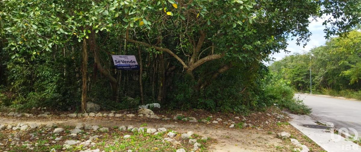 Foto de terreno habitacional en venta en barracuda 137, los arrecifes, solidaridad, quintana roo, 28721884 No. 04