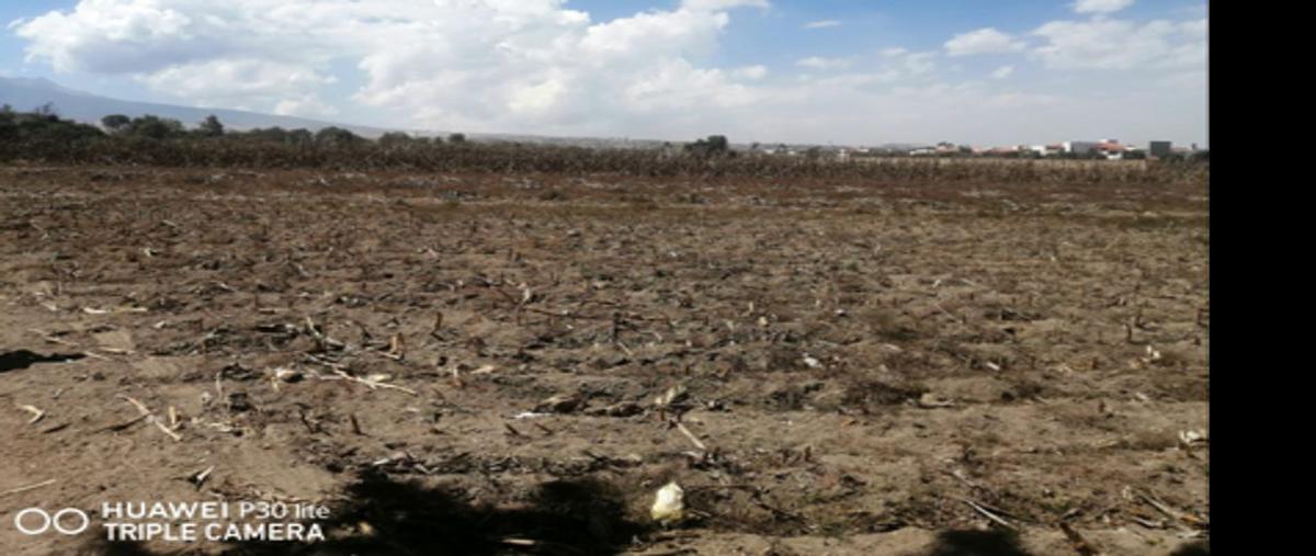Foto de terreno habitacional en venta en barranca de arriba , san andrés ocotlán, calimaya, méxico, 25628529 No. 03