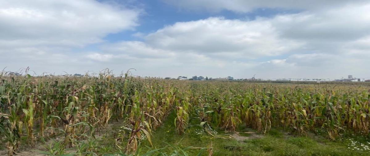 Foto de terreno habitacional en venta en barranca de arriba , san andrés ocotlán, calimaya, méxico, 26737197 No. 03