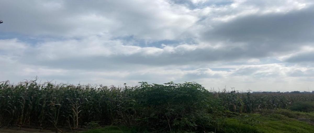 Foto de terreno habitacional en venta en barranca de arriba , san andrés ocotlán, calimaya, méxico, 26737197 No. 04