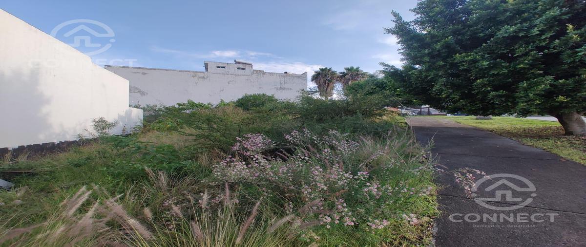 Foto de terreno habitacional en venta en  , barranca del refugio, león, guanajuato, 30177261 No. 03