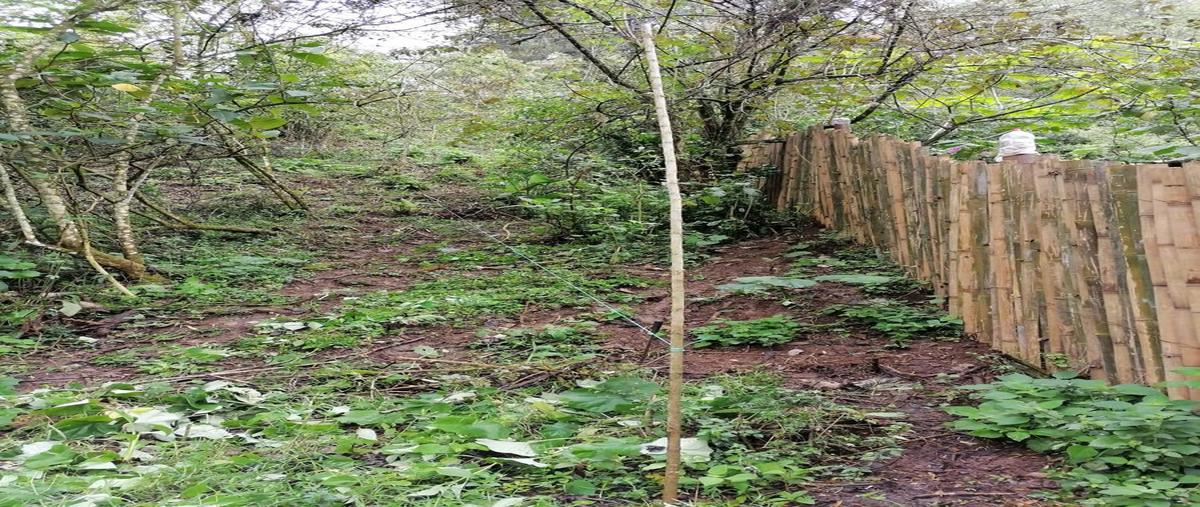 Foto de terreno habitacional en venta en  , barranca honda, xalapa, veracruz de ignacio de la llave, 0 No. 03