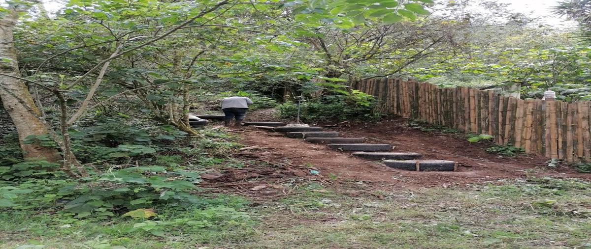 Foto de terreno habitacional en venta en  , barranca honda, xalapa, veracruz de ignacio de la llave, 0 No. 04