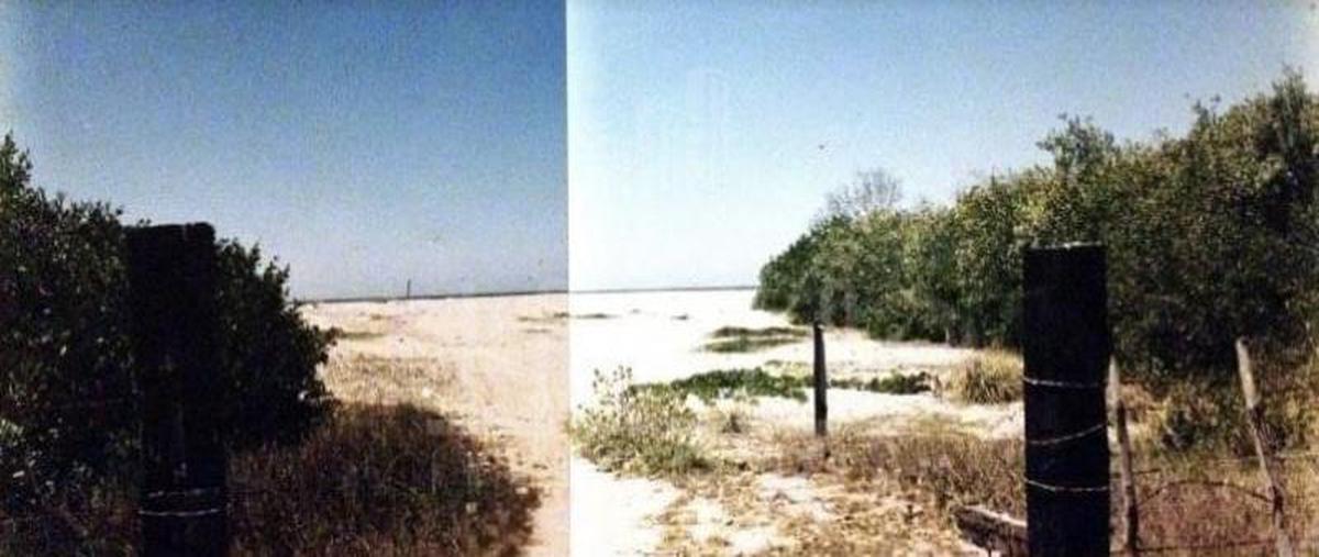 Foto de terreno habitacional en venta en  , barras de piaxtla, san ignacio, sinaloa, 26457104 No. 03