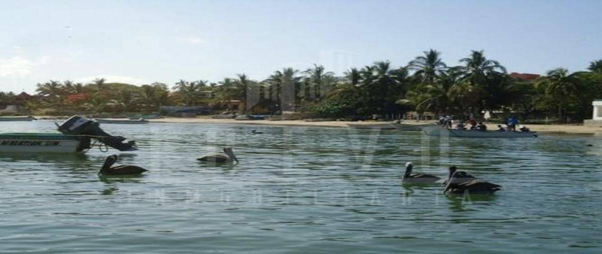 Foto de terreno habitacional en venta en  , barras de piaxtla, san ignacio, sinaloa, 26457104 No. 05