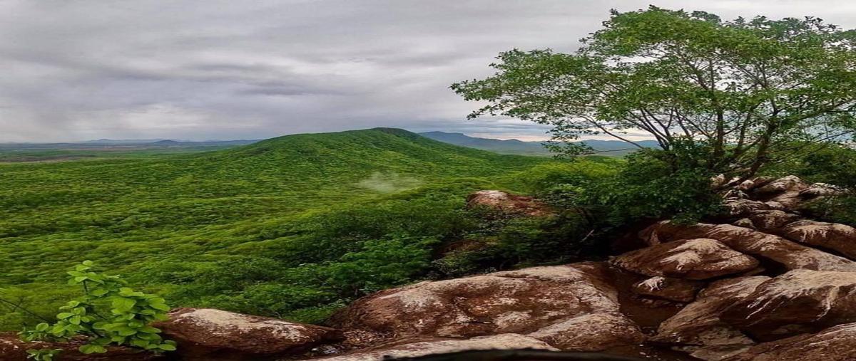 Foto de terreno habitacional en venta en  , barras de piaxtla, san ignacio, sinaloa, 30501117 No. 03