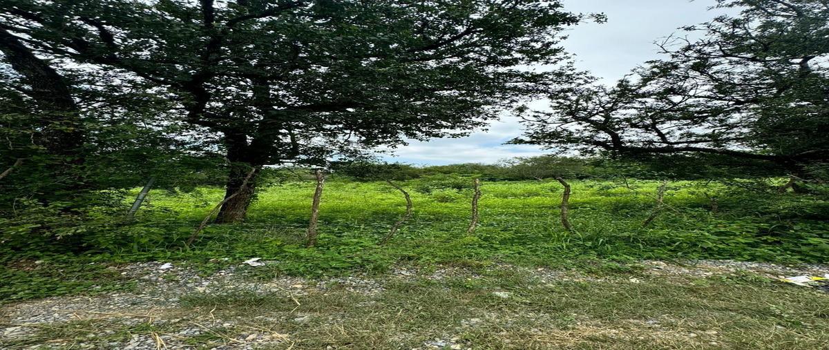 Foto de terreno habitacional en barrial , el barrial, santiago, nuevo león, 28481859 foto 01 Foto de terreno habitacional en venta en barrial , el barrial, santiago, nuevo león, 28481859 No. 01