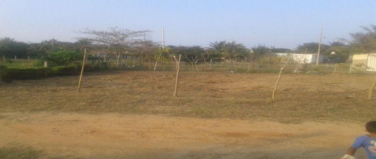 Foto de terreno habitacional en venta en  , barrillas, coatzacoalcos, veracruz de ignacio de la llave, 25731591 No. 05