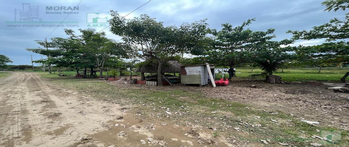 Foto de terreno habitacional en venta en  , barrillas, coatzacoalcos, veracruz de ignacio de la llave, 27398862 No. 03