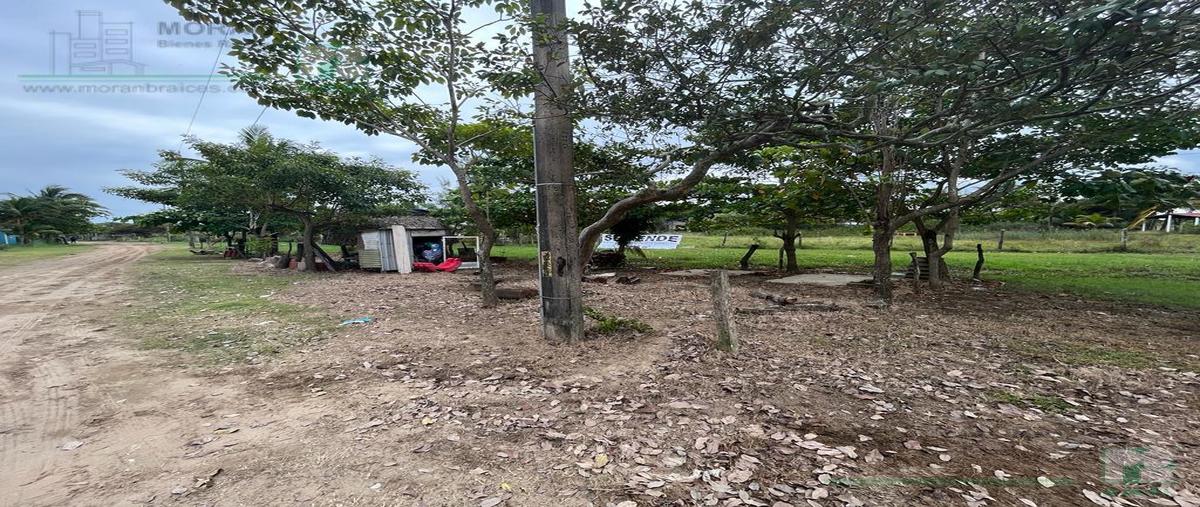 Foto de terreno habitacional en venta en  , barrillas, coatzacoalcos, veracruz de ignacio de la llave, 27398862 No. 04