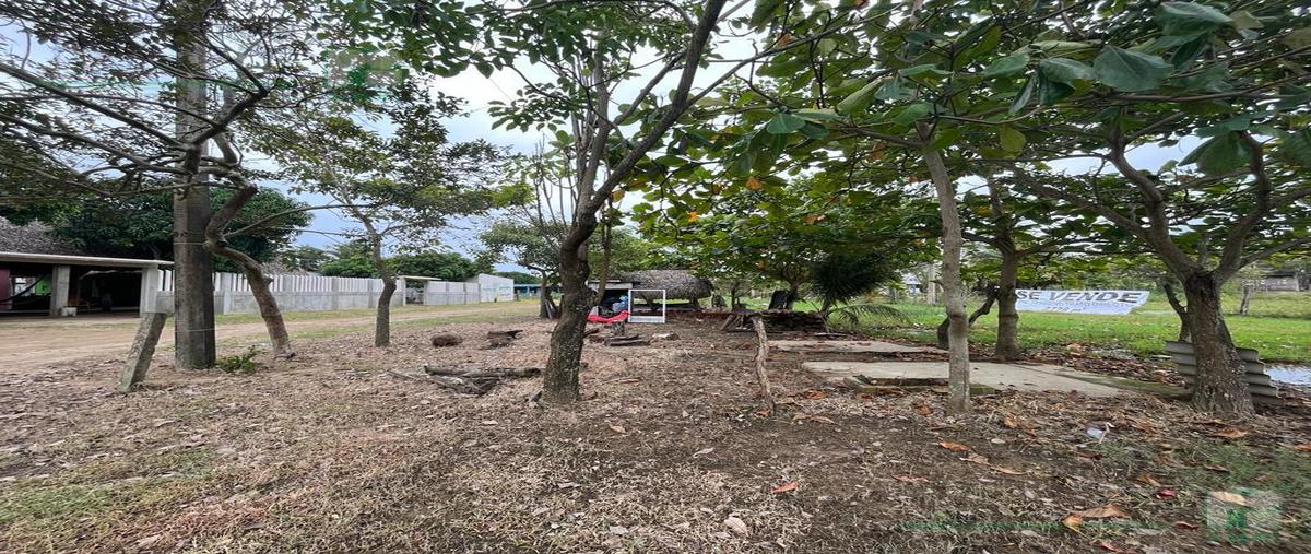 Foto de terreno habitacional en venta en  , barrillas, coatzacoalcos, veracruz de ignacio de la llave, 27398862 No. 05