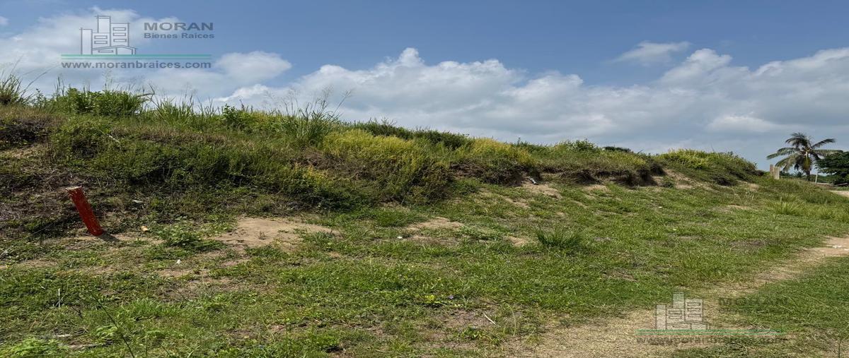 Foto de terreno habitacional en venta en  , barrillas, coatzacoalcos, veracruz de ignacio de la llave, 30300830 No. 03