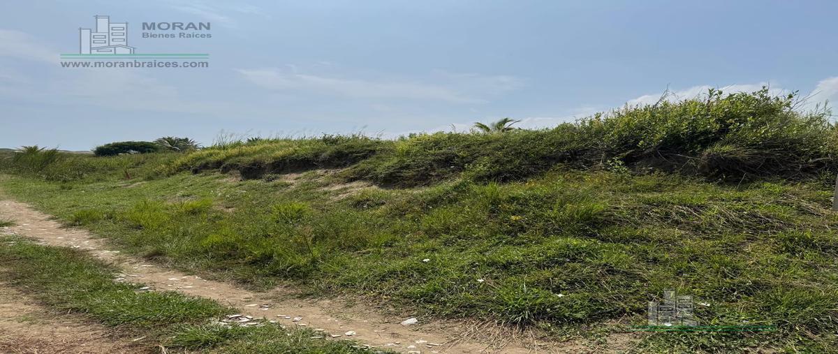 Foto de terreno habitacional en venta en  , barrillas, coatzacoalcos, veracruz de ignacio de la llave, 30300830 No. 05