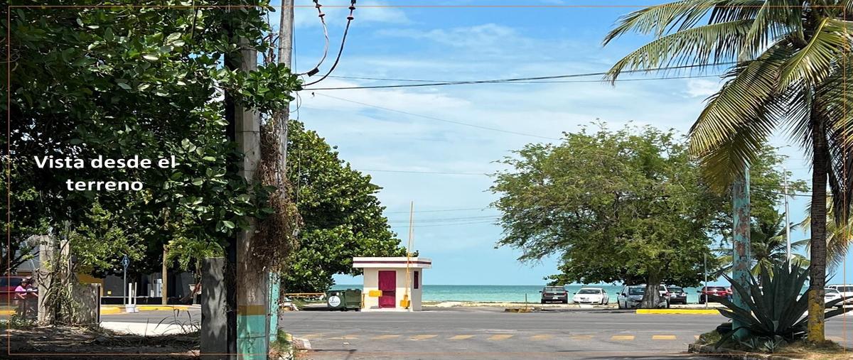 Foto de terreno habitacional en venta en  , barrio bravo, othón p. blanco, quintana roo, 0 No. 03