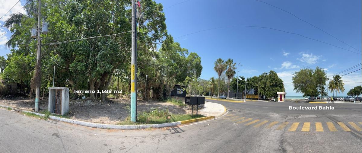 Foto de terreno habitacional en venta en  , barrio bravo, othón p. blanco, quintana roo, 0 No. 05