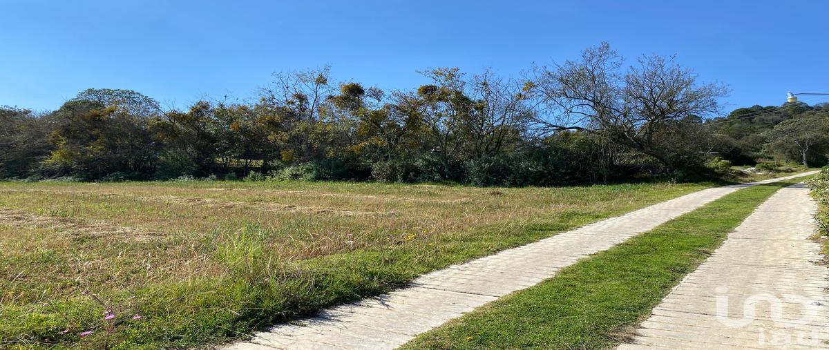 Foto de terreno habitacional en venta en barrio centro , mixquiapan, omitlÃ¡n de juÃ¡rez, hidalgo, 31571237 No. 03