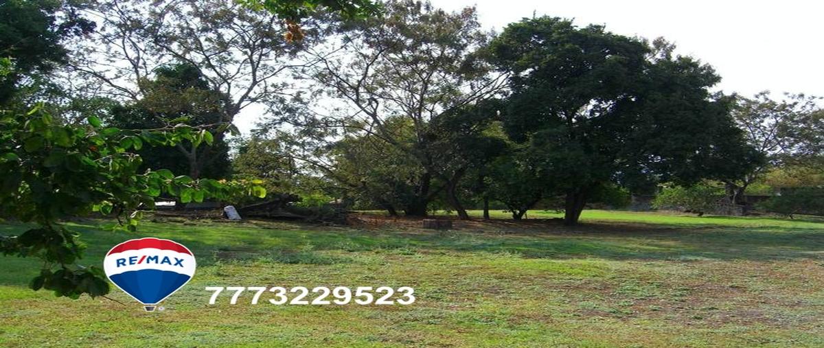Foto de terreno comercial en barrio de buenavista , buenavista, yautepec, morelos, 27381527 foto 03 Foto de terreno comercial en venta en barrio de buenavista , buenavista, yautepec, morelos, 27381527 No. 03
