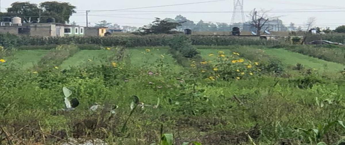 Foto de rancho en venta en barrio de la cabecera , barrio de la cabecera tercera sección, almoloya de juárez, méxico, 21443112 No. 03