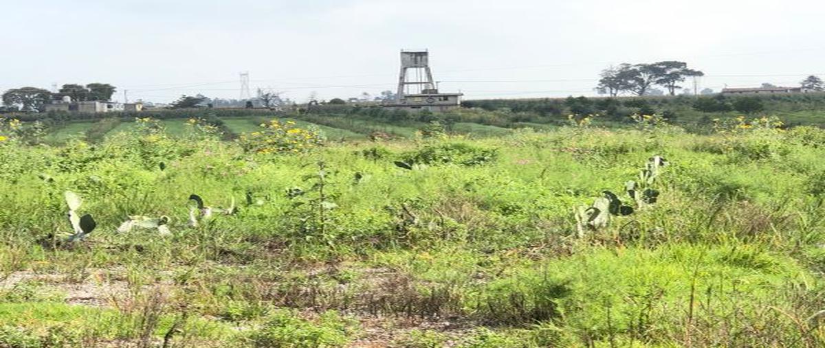 Foto de rancho en venta en barrio de la cabecera , barrio de la cabecera tercera sección, almoloya de juárez, méxico, 21443112 No. 05