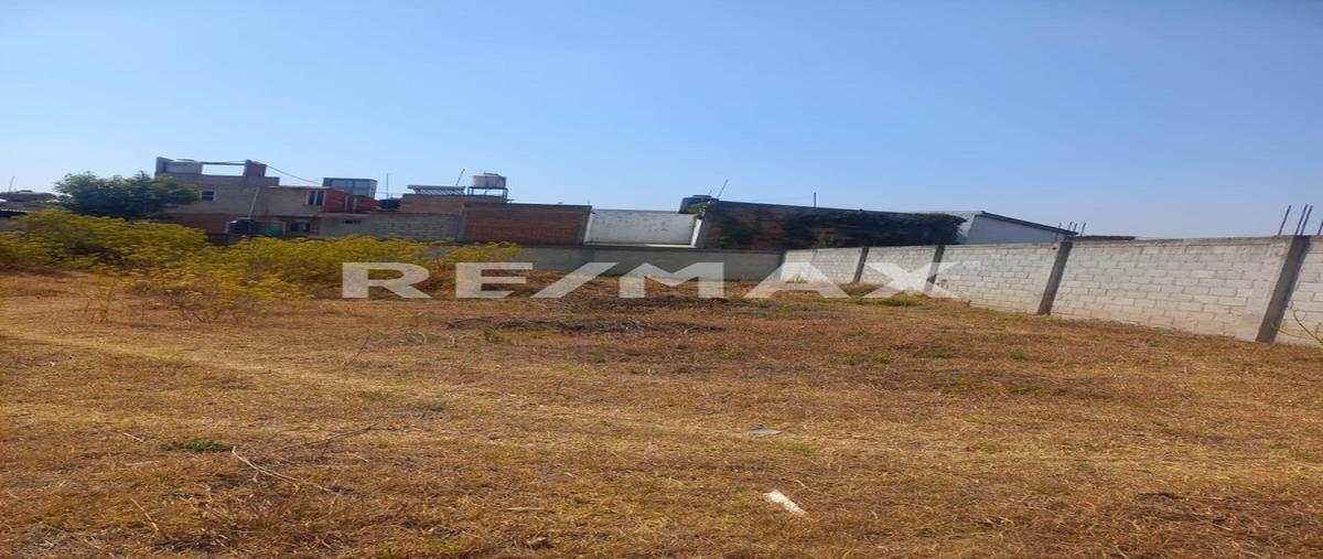 Foto de terreno habitacional en venta en barrio de la trinidad , panzacola, papalotla de xicohténcatl, tlaxcala, 26300117 No. 03