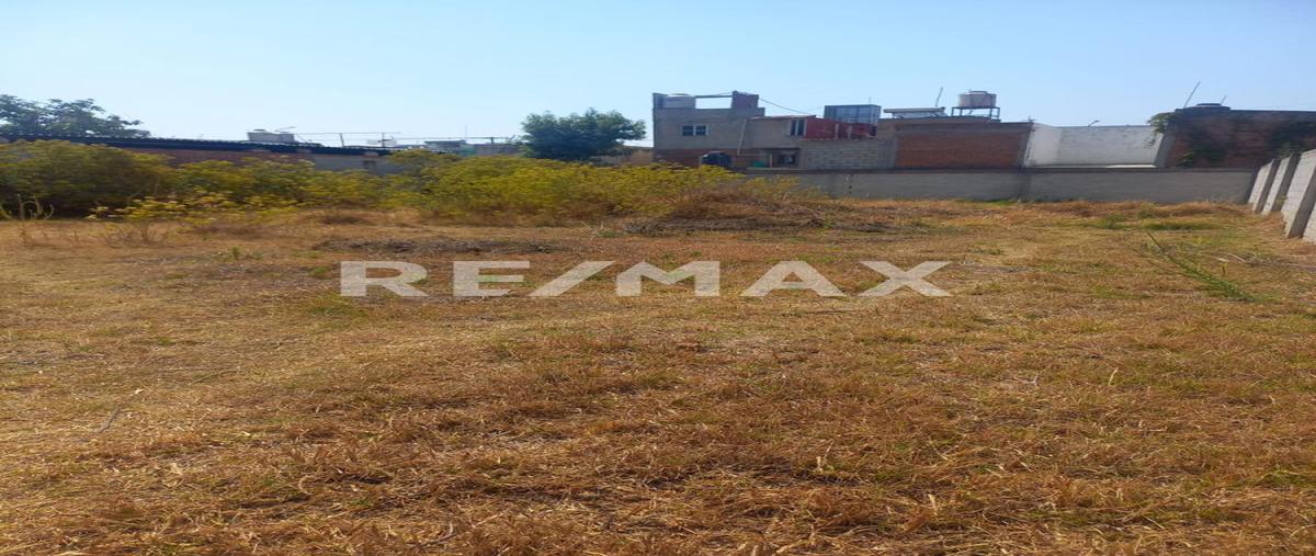 Foto de terreno habitacional en venta en barrio de la trinidad , panzacola, papalotla de xicohténcatl, tlaxcala, 26300117 No. 04