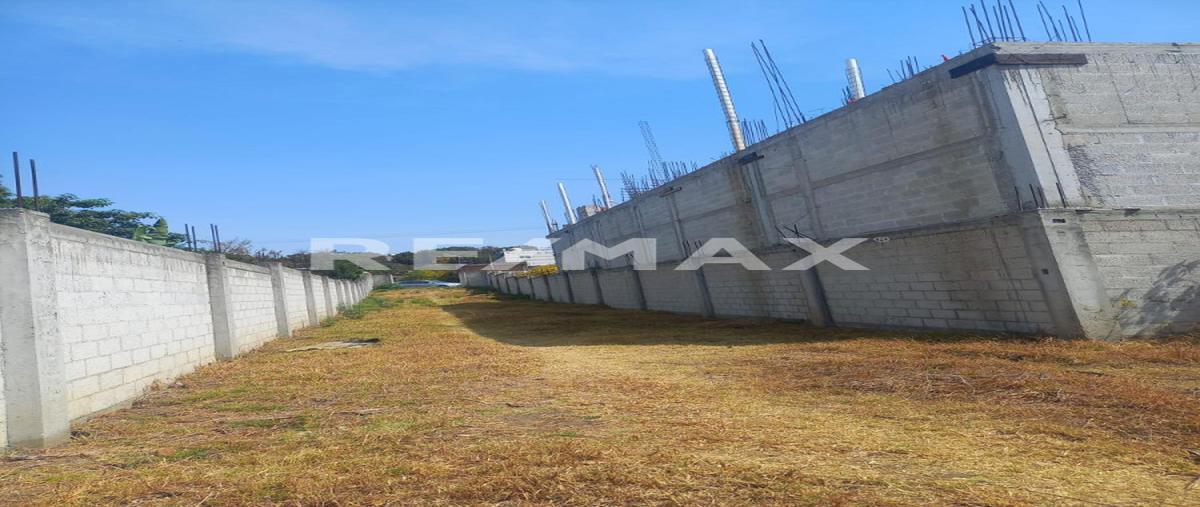 Foto de terreno habitacional en venta en barrio de la trinidad , panzacola, papalotla de xicohténcatl, tlaxcala, 26300117 No. 05
