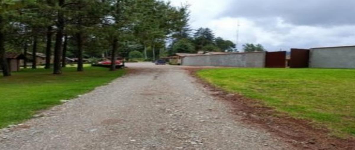 Foto de rancho en barrio de maquixtla , zacatlán centro, zacatlán, puebla, 25399312 foto 02 Foto de rancho en venta en barrio de maquixtla , zacatlán centro, zacatlán, puebla, 25399312 No. 02