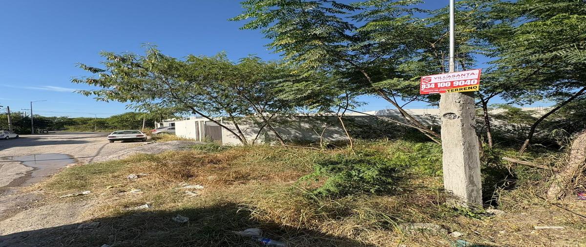 Foto de terreno habitacional en venta en  , barrio de pajaritos, victoria, tamaulipas, 31249044 No. 03