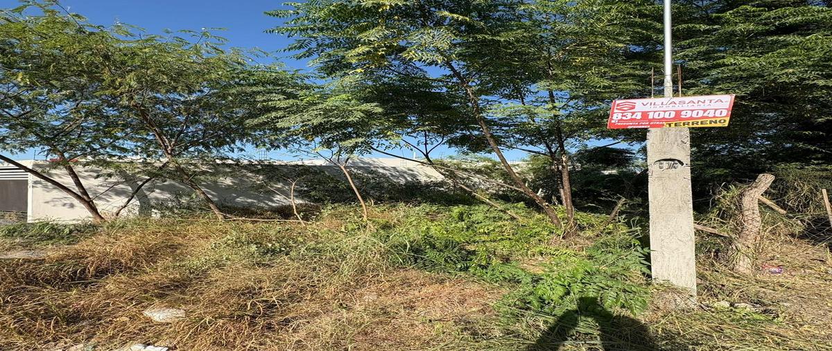 Foto de terreno habitacional en venta en  , barrio de pajaritos, victoria, tamaulipas, 31249044 No. 04