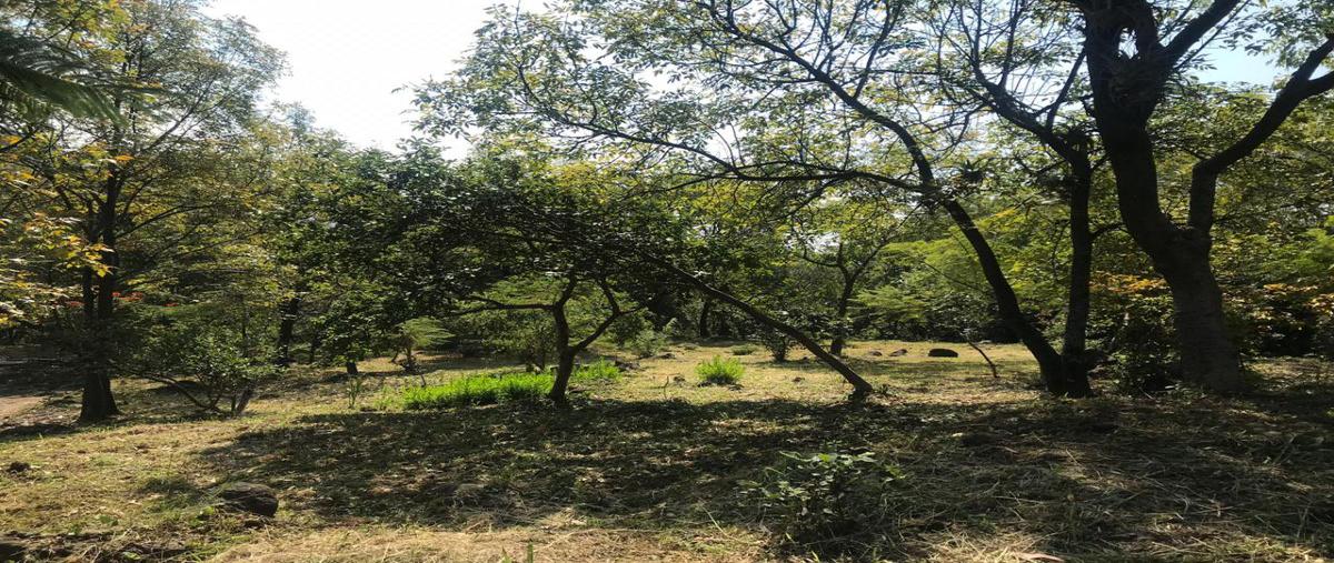 Foto de terreno habitacional en venta en barrio de san andres , malinalco, malinalco, méxico, 17243348 No. 05