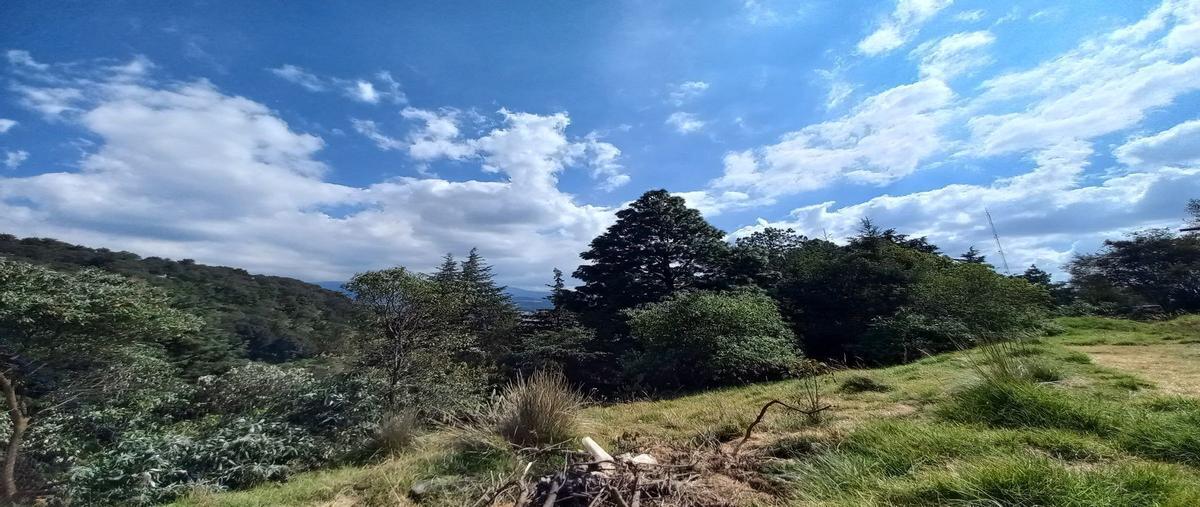 Foto de terreno habitacional en barrio de san miguel , ex-hacienda jajalpa, ocoyoacac, méxico, 29739890 foto 02 Foto de terreno habitacional en venta en barrio de san miguel , ex-hacienda jajalpa, ocoyoacac, méxico, 29739890 No. 02