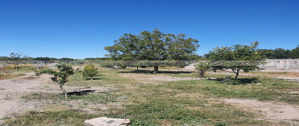 Foto de terreno industrial en venta en  , barrio del perico, parras, coahuila de zaragoza, 0 No. 04