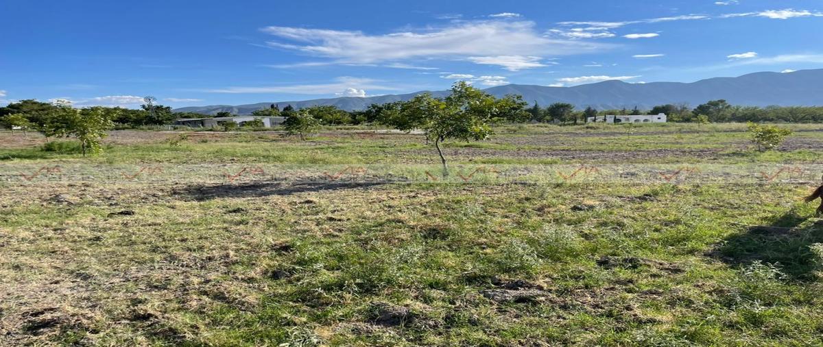 Foto de terreno industrial en venta en  , barrio del perico, parras, coahuila de zaragoza, 0 No. 05