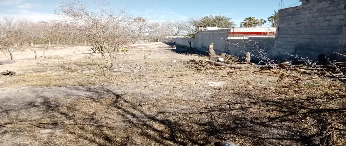 Foto de terreno habitacional en venta en  , barrio del sombreretillo, parras, coahuila de zaragoza, 0 No. 03