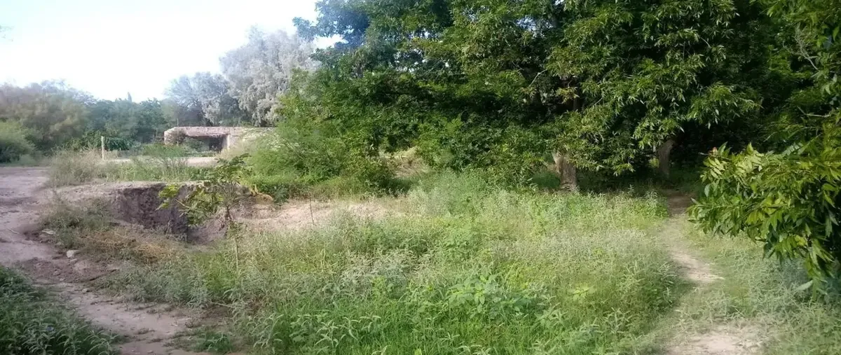 Foto de terreno habitacional en venta en  , barrio del sombreretillo, parras, coahuila de zaragoza, 0 No. 04