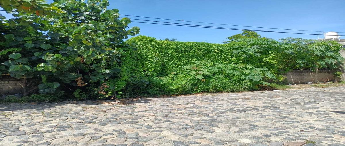 Foto de terreno habitacional en venta en  , barrio nuevo salahua, manzanillo, colima, 25412961 No. 03