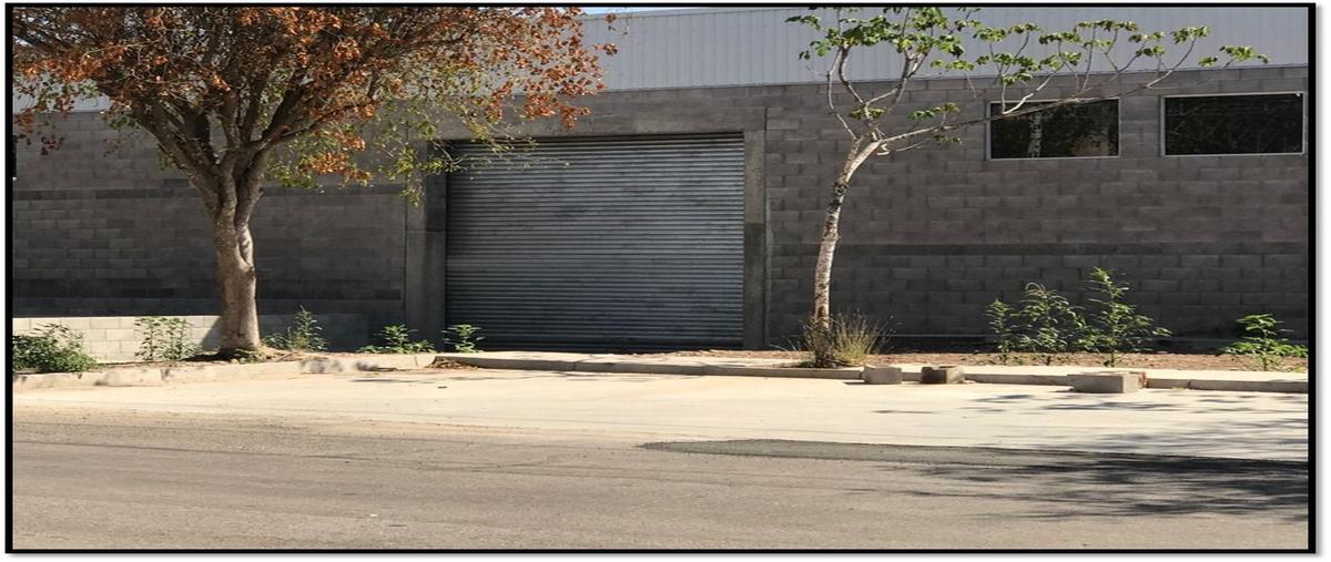 Foto de bodega en renta en  , barrio san agustín, culiacán, sinaloa, 28828216 No. 03