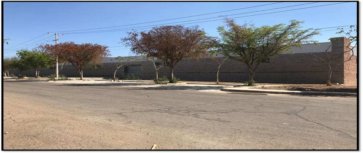 Foto de bodega en renta en  , barrio san agustín, culiacán, sinaloa, 28828216 No. 04
