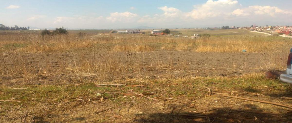 Foto de terreno habitacional en venta en  , barrio santa juana, almoloya de juárez, méxico, 28484482 No. 03