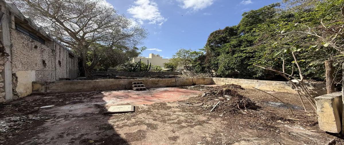 Foto de casa en barrio santiago , merida centro, mérida, yucatán, 0 foto 04 Foto de casa en venta en barrio santiago , merida centro, mérida, yucatán, 0 No. 04