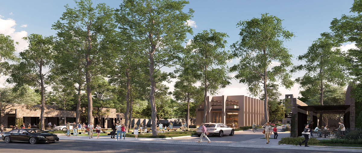 Foto de terreno habitacional en venta en  , barrio tacubaya, parras, coahuila de zaragoza, 26856477 No. 04