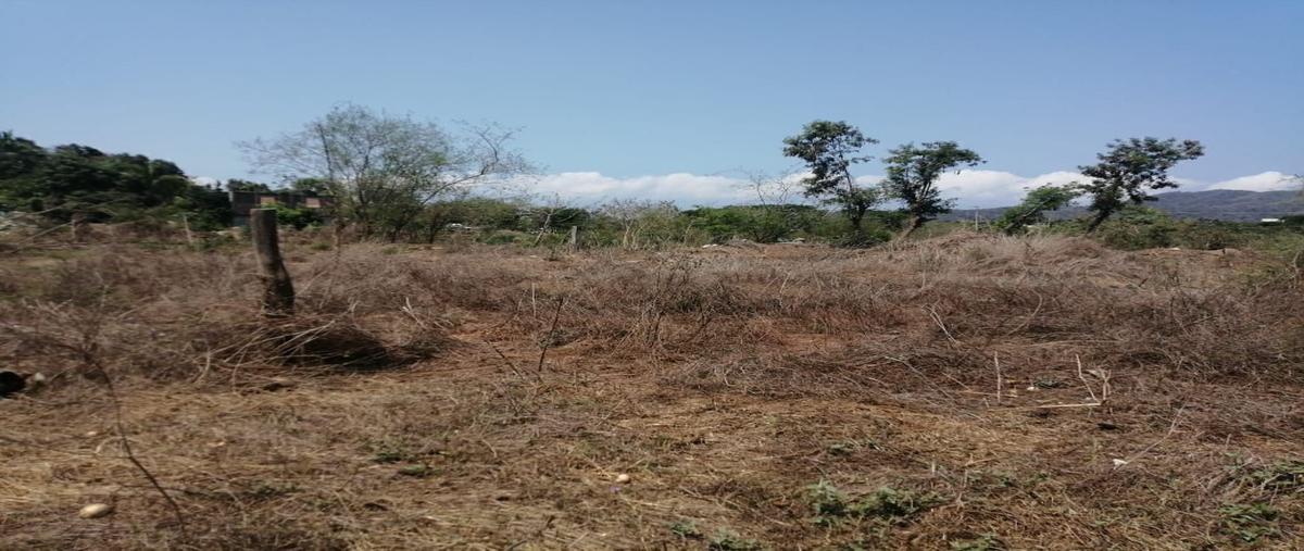 Foto de terreno habitacional en venta en  , barrio viejo, zihuatanejo de azueta, guerrero, 26664486 No. 03