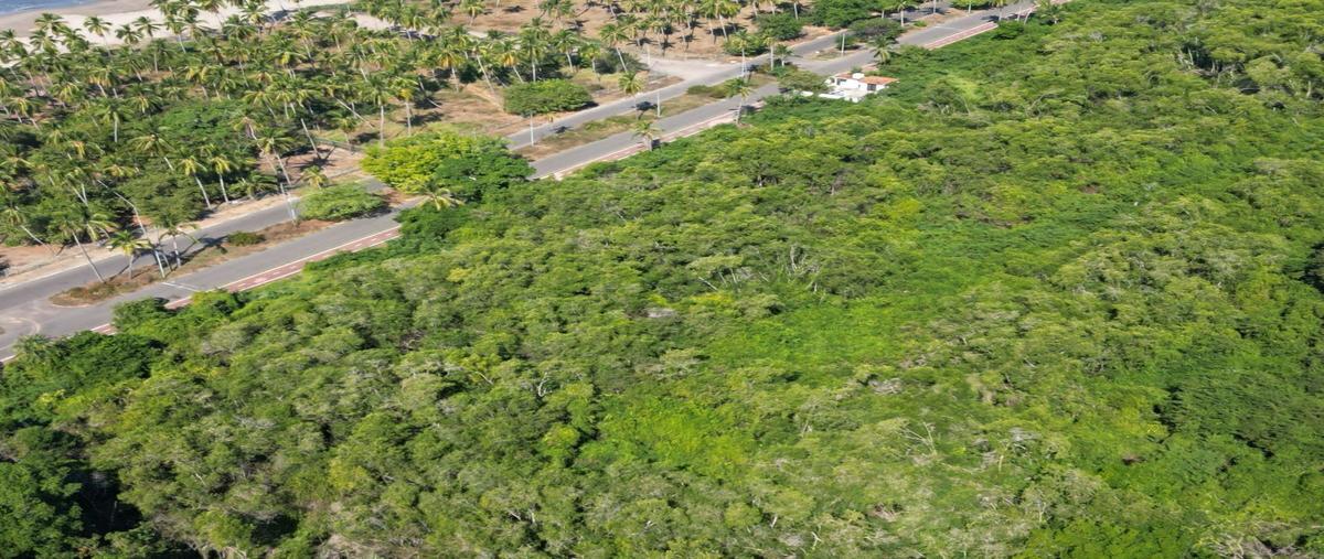 Foto de terreno habitacional en venta en  , barrio viejo, zihuatanejo de azueta, guerrero, 26664501 No. 03