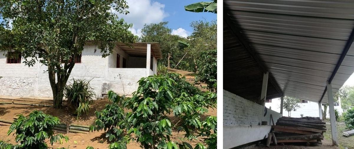 Foto de rancho en venta en baxtla , teocelo, teocelo, veracruz de ignacio de la llave, 0 No. 04