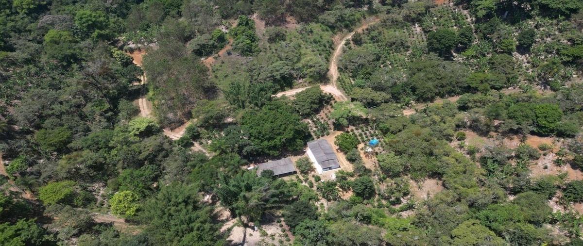 Foto de rancho en venta en baxtla , teocelo, teocelo, veracruz de ignacio de la llave, 0 No. 05