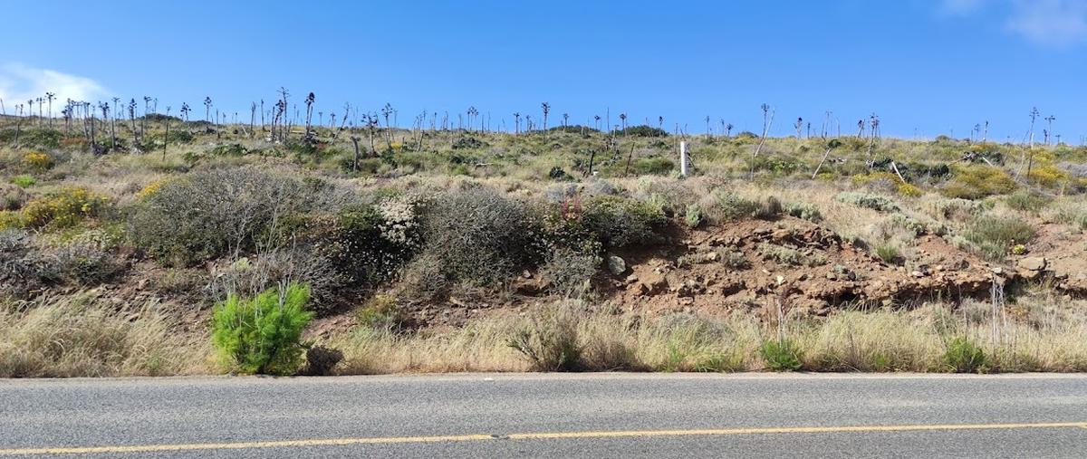 Foto de terreno habitacional en venta en bc 23 , la bufadora, ensenada, baja california, 28085541 No. 05