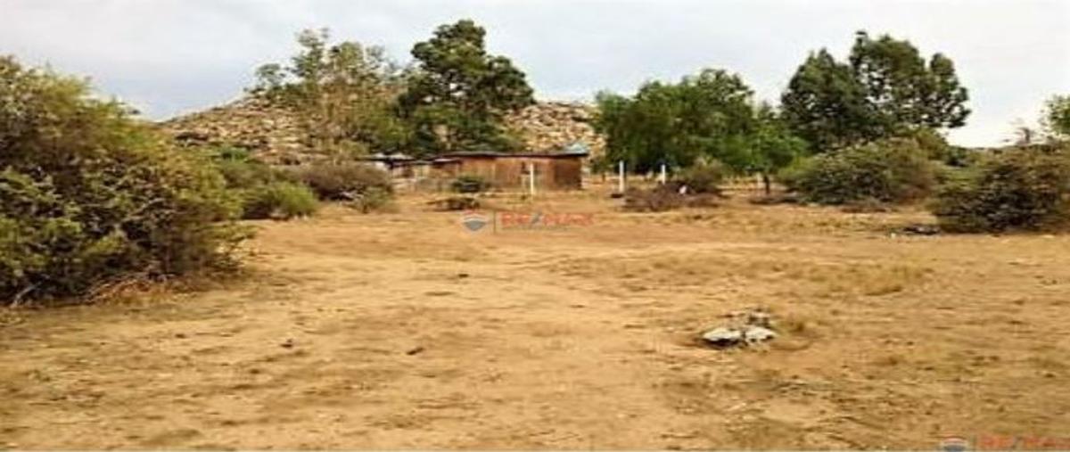 Foto de terreno comercial en venta en belisario dominguez l a m. 24, ojos negros , ojos negros, ensenada, baja california, 26056173 No. 03